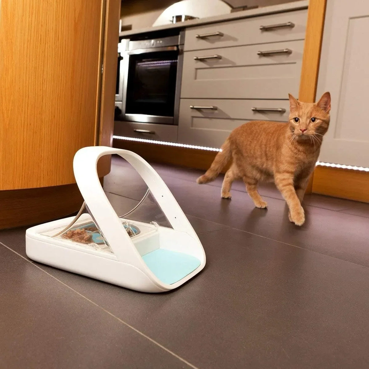 Automatische voerautomaat voor huisdieren - Voerautomaat met microchip - MPF001 - Geschikt voor nat en droog voer - Inclusief huisdierhanddoek (bonus) eOutletDeals