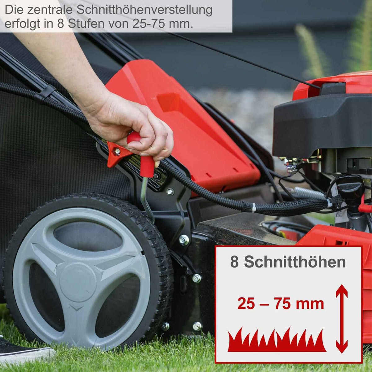 Kosiarka spalinowa Scheppach MS150-46E z rozrusznikiem elektrycznym | Szerokość koszenia 46 cm | Funkcja czyszczenia | Kosz na trawę o pojemności 55 litrów | Obudowa stalowa | 7-stopniowa regulacja wysokości | Funkcja mulczowania | Samojezdna | Wyrzu