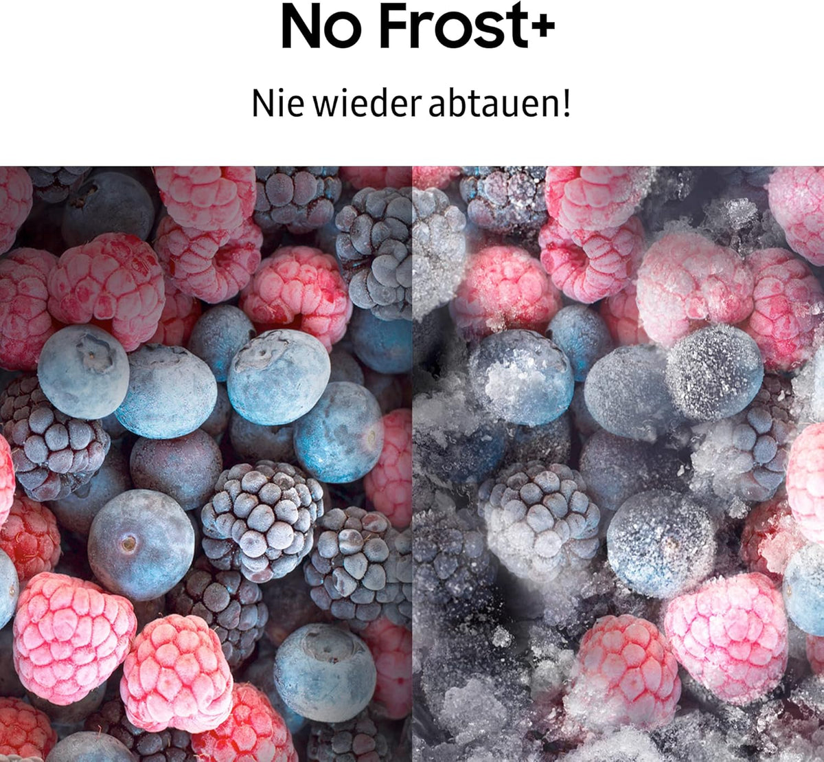 RL38T607BS9/EF Koelkast met vriesvak, 203 cm, 387 l, Koelkast met vriesvak, Twin Cooling, No Frost, SpaceMax, Optimal Fresh, Humidity Fresh, Roestvrijstalen look