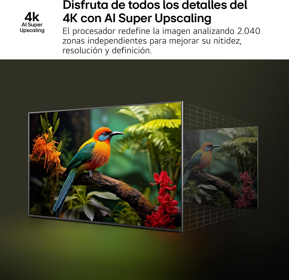50UA73006LA - telewizor 50", UHD 4K, WebOS 25, Ultimate IA, HDR10 Pro, Super Upscaling, Dolby Digital Plus, Asystent Google, Czarny
